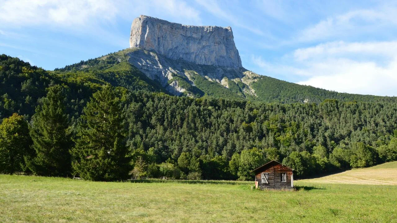 champ et le Mont Aiguille